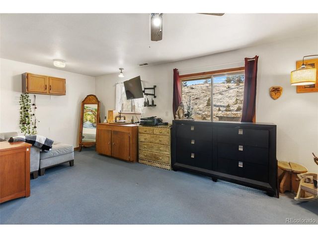 13469 Old Timer Trl, Woodland Park, CO 80863