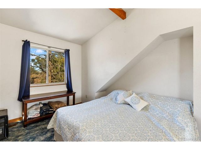 13469 Old Timer Trl, Woodland Park, CO 80863