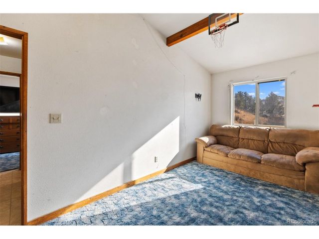 13469 Old Timer Trl, Woodland Park, CO 80863