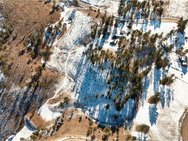 13469 Old Timer Trl, Woodland Park, CO 80863