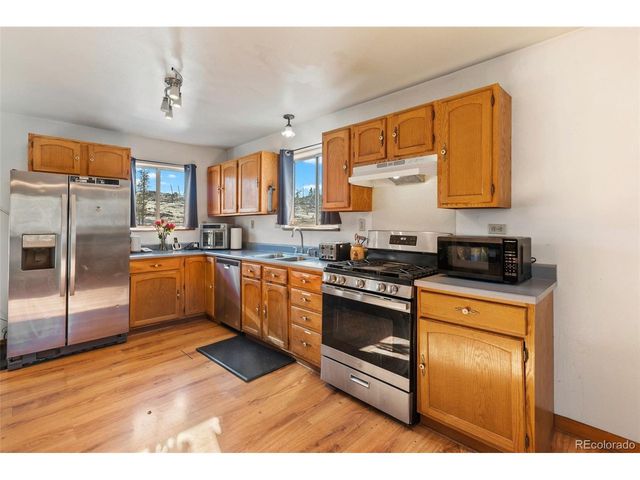 13469 Old Timer Trl, Woodland Park, CO 80863