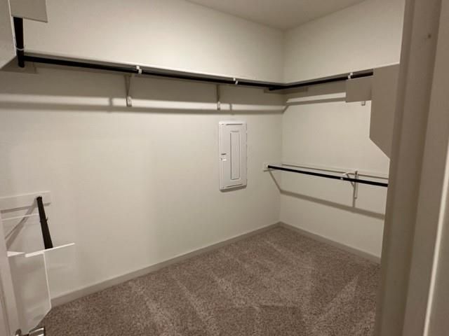 326 Big Sandy Creek DR, Hutto, TX 78634