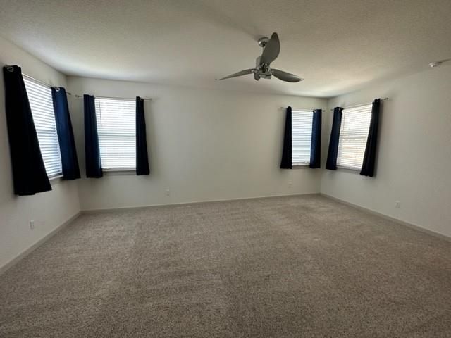 326 Big Sandy Creek DR, Hutto, TX 78634