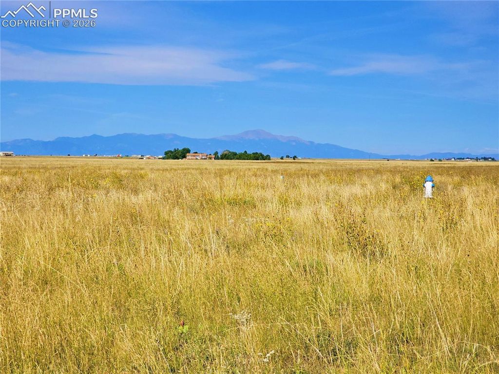 23712 Redtail Drive, Colorado Springs, CO 80928 — exterior