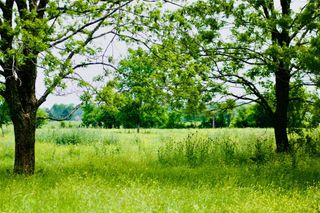 TBD 3 Fm 1887 Road, Hempstead, TX 77445