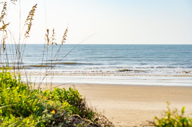 6 29th Avenue, Isle Of Palms, SC 29451