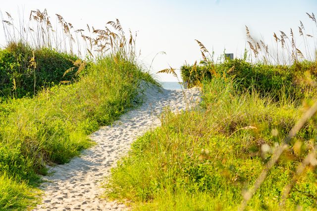 6 29th Avenue, Isle Of Palms, SC 29451