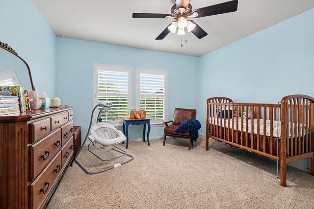 29511 Orchard Grove Drive, Tomball, TX 77377