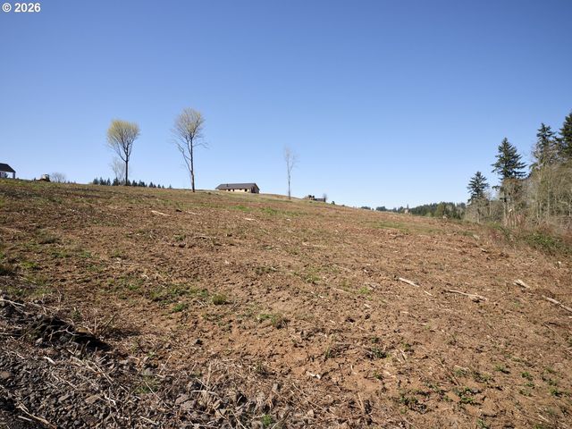 312 Dolan Rd, Castle Rock, WA 98611
