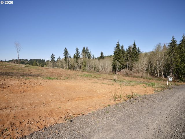 312 Dolan Rd, Castle Rock, WA 98611