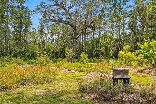 10080 SE 1ST STREET ROAD, Silver Springs, FL 34488