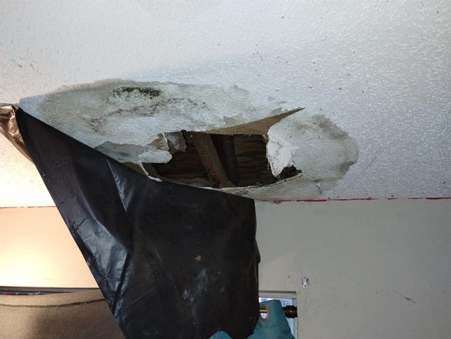 800 NICOLE BOULEVARD, Ocoee, FL 34761