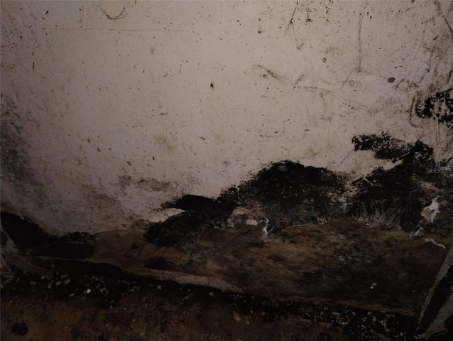 800 NICOLE BOULEVARD, Ocoee, FL 34761