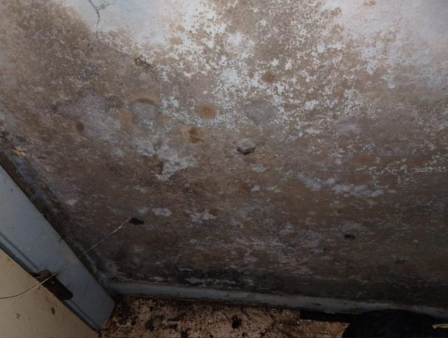 800 NICOLE BOULEVARD, Ocoee, FL 34761