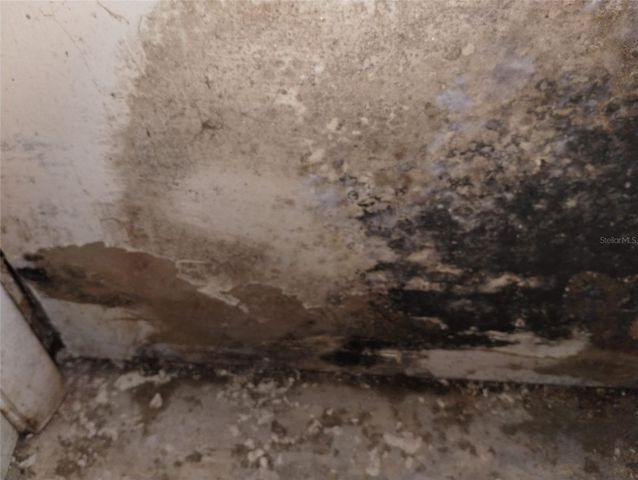 800 NICOLE BOULEVARD, Ocoee, FL 34761