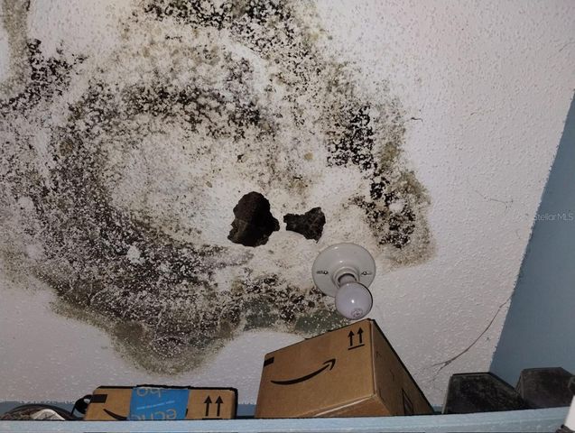 800 NICOLE BOULEVARD, Ocoee, FL 34761