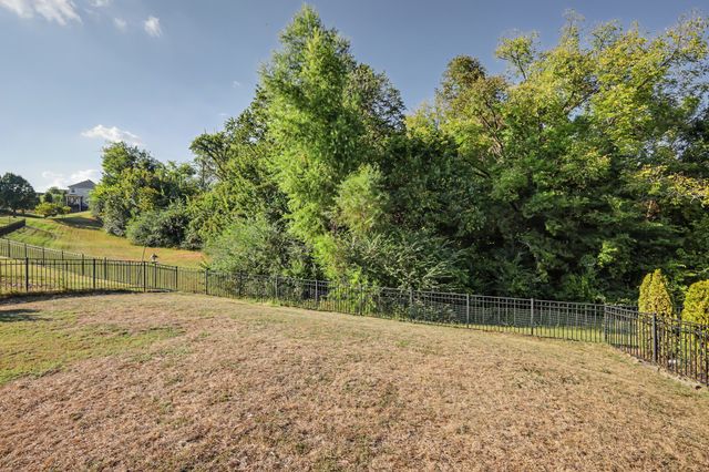 2214 Chaucer Park Ln, Thompsons Station, TN 37179