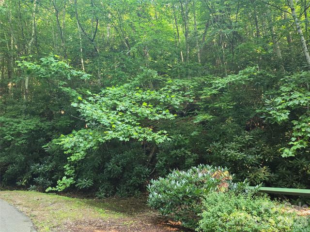 TBD Henry Dingus Way 26, Maggie Valley, NC 28751