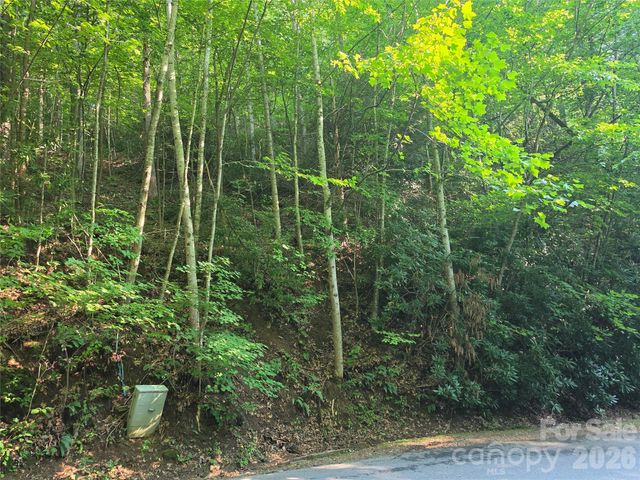 TBD Henry Dingus Way 26, Maggie Valley, NC 28751