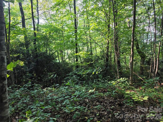 TBD Henry Dingus Way 26, Maggie Valley, NC 28751