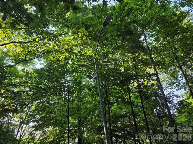 TBD Henry Dingus Way 26, Maggie Valley, NC 28751