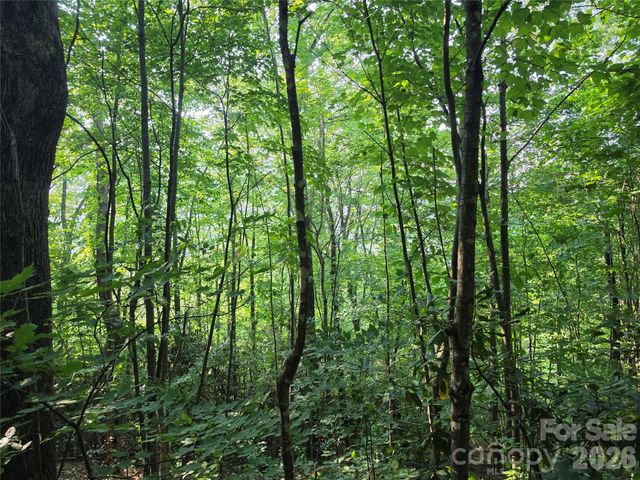 TBD Henry Dingus Way 26, Maggie Valley, NC 28751