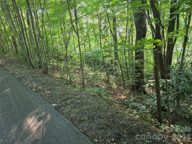 TBD Henry Dingus Way 26, Maggie Valley, NC 28751