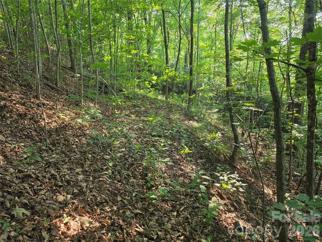 TBD Henry Dingus Way 26, Maggie Valley, NC 28751