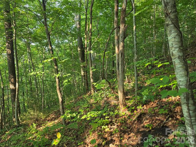 TBD Henry Dingus Way 26, Maggie Valley, NC 28751