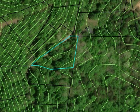 Lot 2 Anns Lane, Hayesville, NC 28904