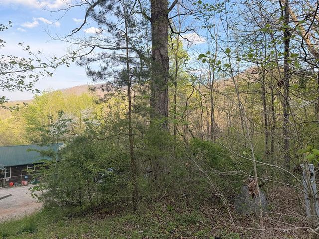 Lot 2 Anns Lane, Hayesville, NC 28904