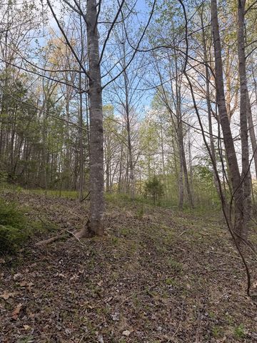 Lot 2 Anns Lane, Hayesville, NC 28904