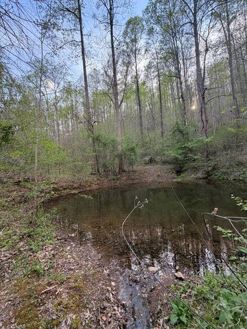 Lot 2 Anns Lane, Hayesville, NC 28904