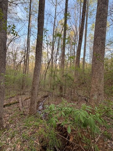 Lot 2 Anns Lane, Hayesville, NC 28904