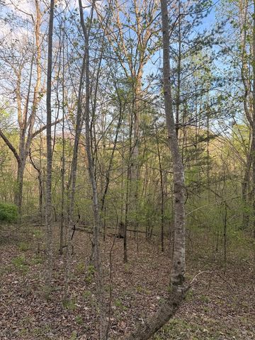 Lot 2 Anns Lane, Hayesville, NC 28904