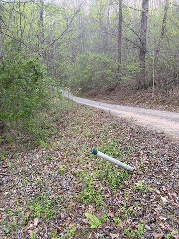 Lot 2 Anns Lane, Hayesville, NC 28904