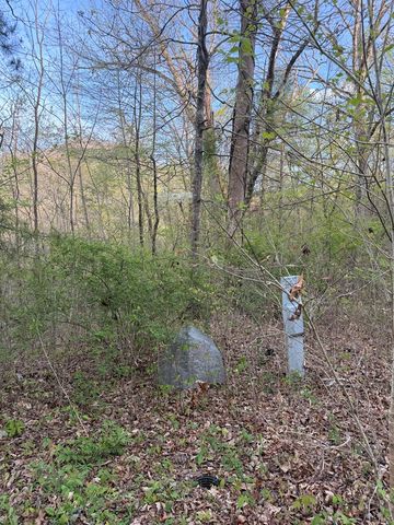 Lot 2 Anns Lane, Hayesville, NC 28904
