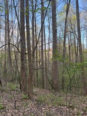 Lot 2 Anns Lane, Hayesville, NC 28904