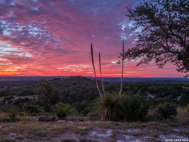 217 Saddle Wood, Comfort, TX 78013