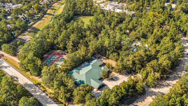 31 Lenox Hill Court, The Woodlands, TX 77382