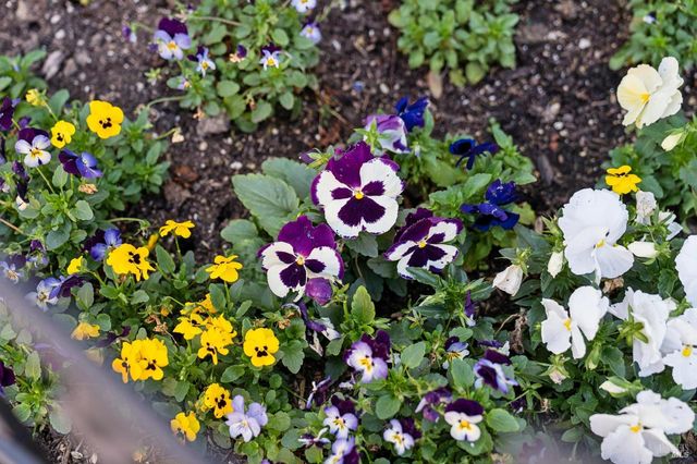 28 Lesina Way, Novato, CA 94945