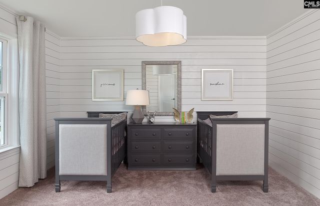 6 Borland Court, Chapin, SC 29036