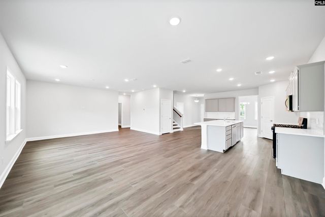 6 Borland Court, Chapin, SC 29036