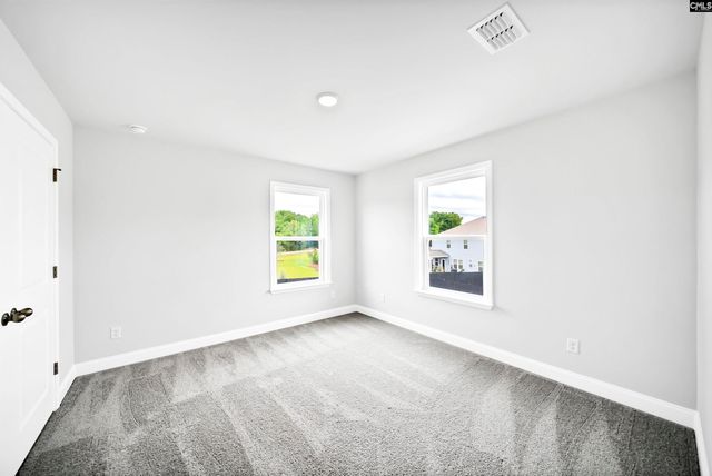 6 Borland Court, Chapin, SC 29036