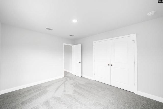 6 Borland Court, Chapin, SC 29036