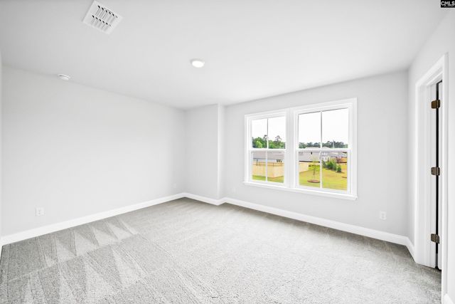 6 Borland Court, Chapin, SC 29036