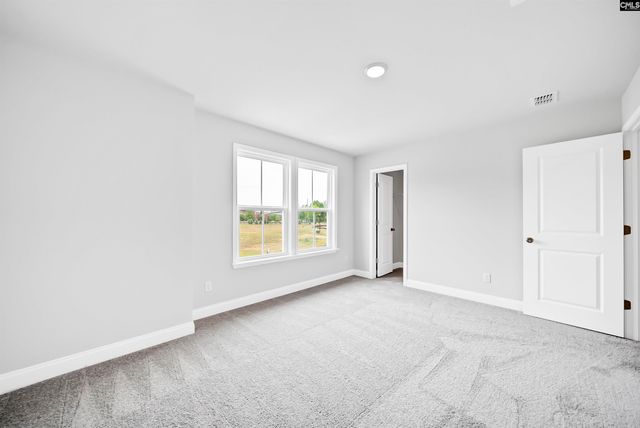 6 Borland Court, Chapin, SC 29036