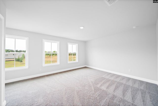 6 Borland Court, Chapin, SC 29036