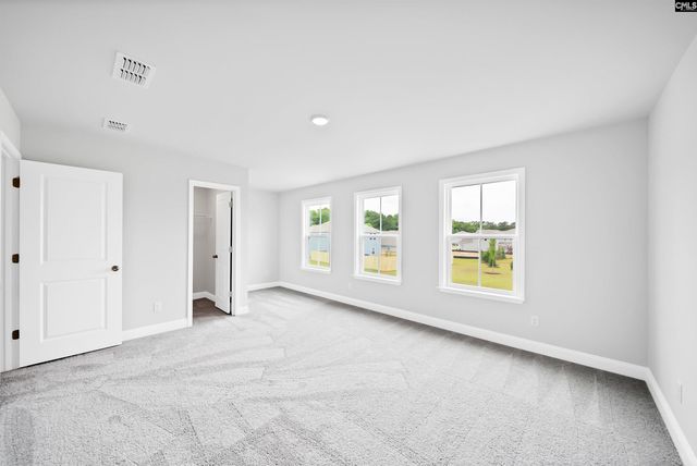 6 Borland Court, Chapin, SC 29036