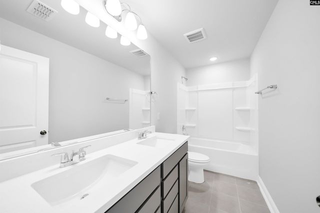 6 Borland Court, Chapin, SC 29036